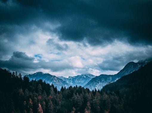 Landscape Project #02